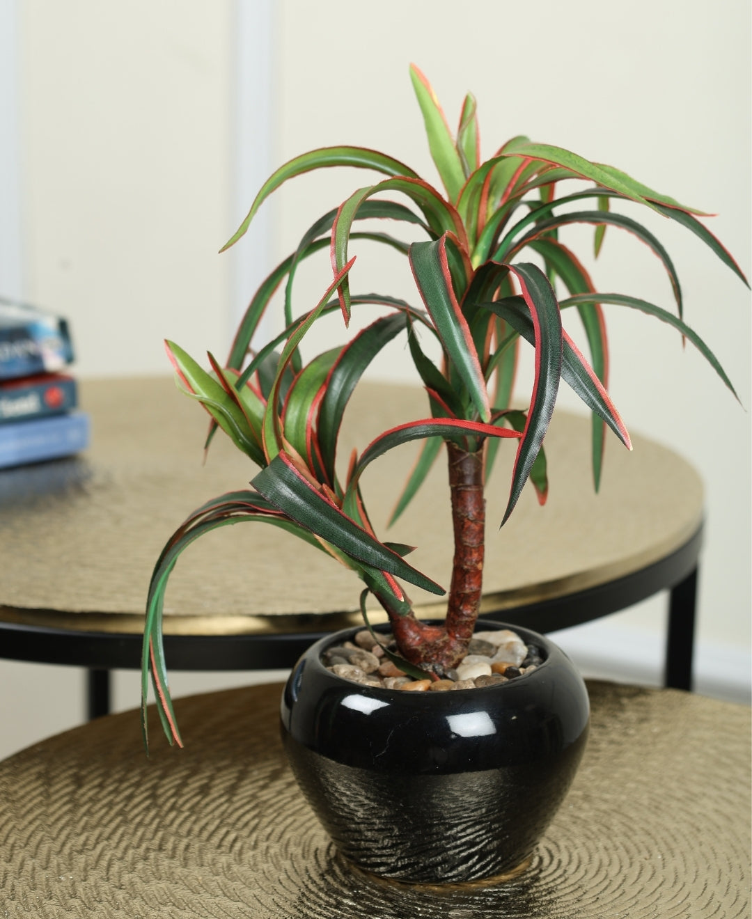 Minimalist Tree-Like Bonsai In Ceramic Pot