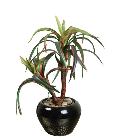 Minimalist Tree-Like Bonsai In Ceramic Pot