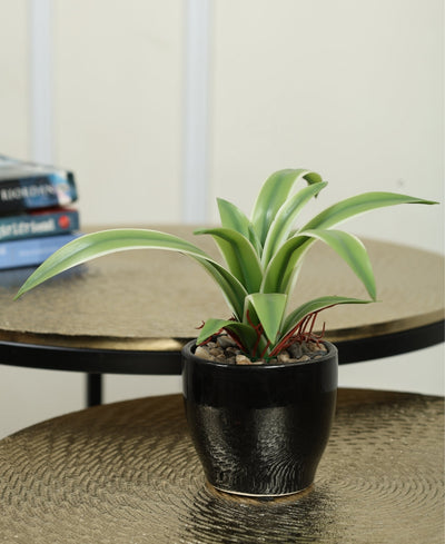 Nature'S Bliss-Small Real Touch Artificial Bonsai In Ceramic Pot