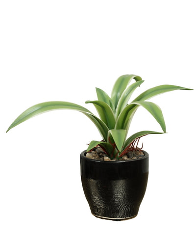 Nature'S Bliss-Small Real Touch Artificial Bonsai In Ceramic Pot