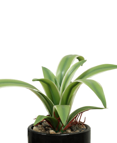 Nature'S Bliss-Small Real Touch Artificial Bonsai In Ceramic Pot