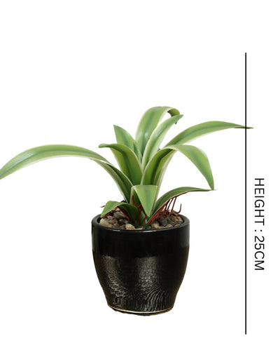 Nature'S Bliss-Small Real Touch Artificial Bonsai In Ceramic Pot