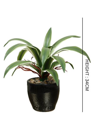 Medium Size Real Touch Artificial Bonsai In Ceramic Pot