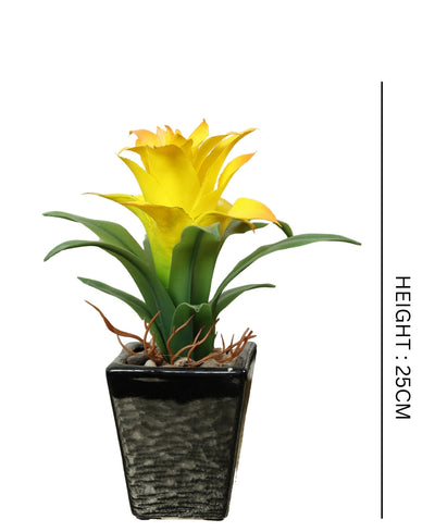 Vibrant Artificial Bonsai A Splash Of Color For Your Space