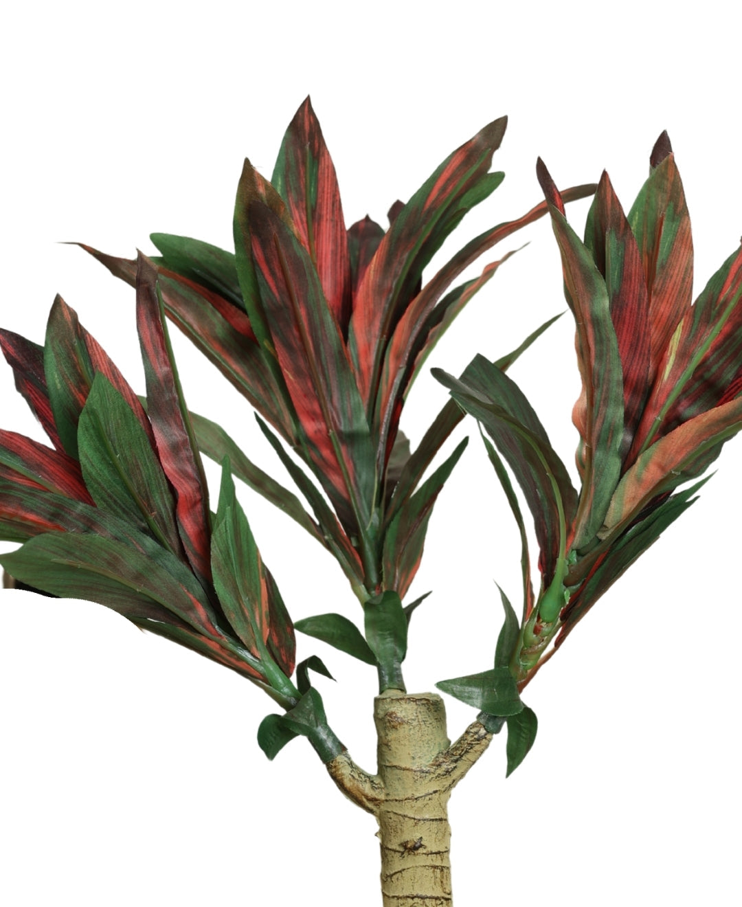 Graceful Croton Artificial Bonsai In Ceramic Pot