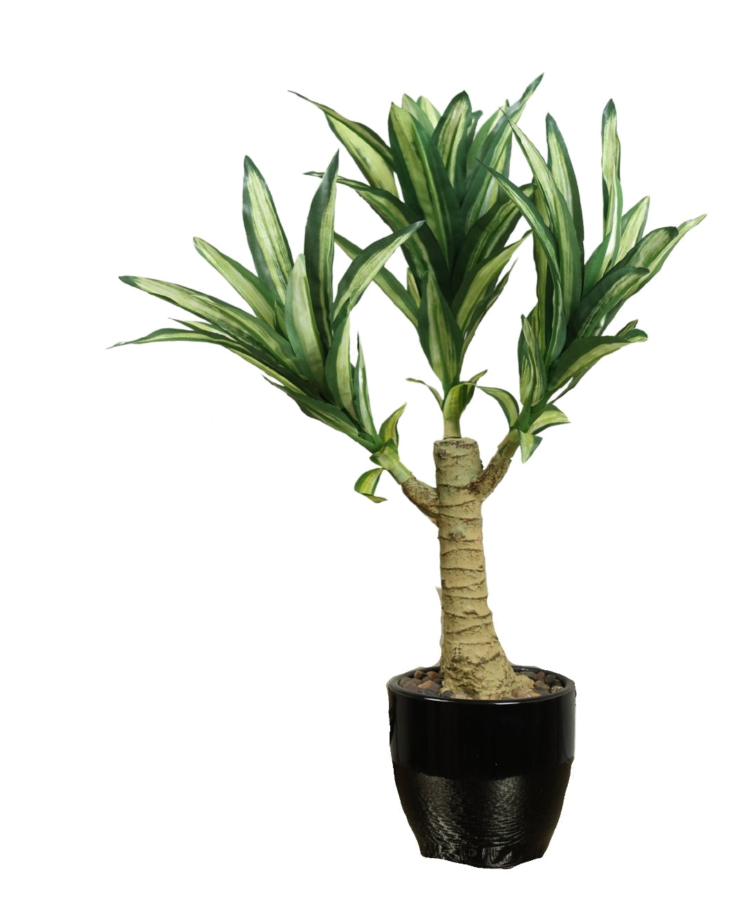 Graceful Croton Artificial Bonsai In Ceramic Pot