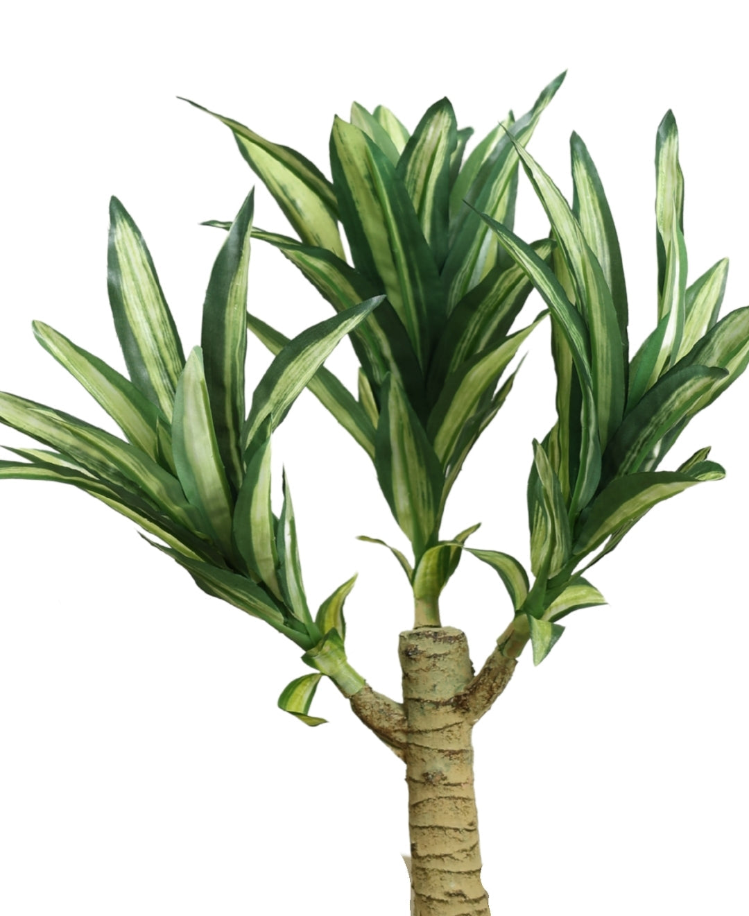 Graceful Croton Artificial Bonsai In Ceramic Pot