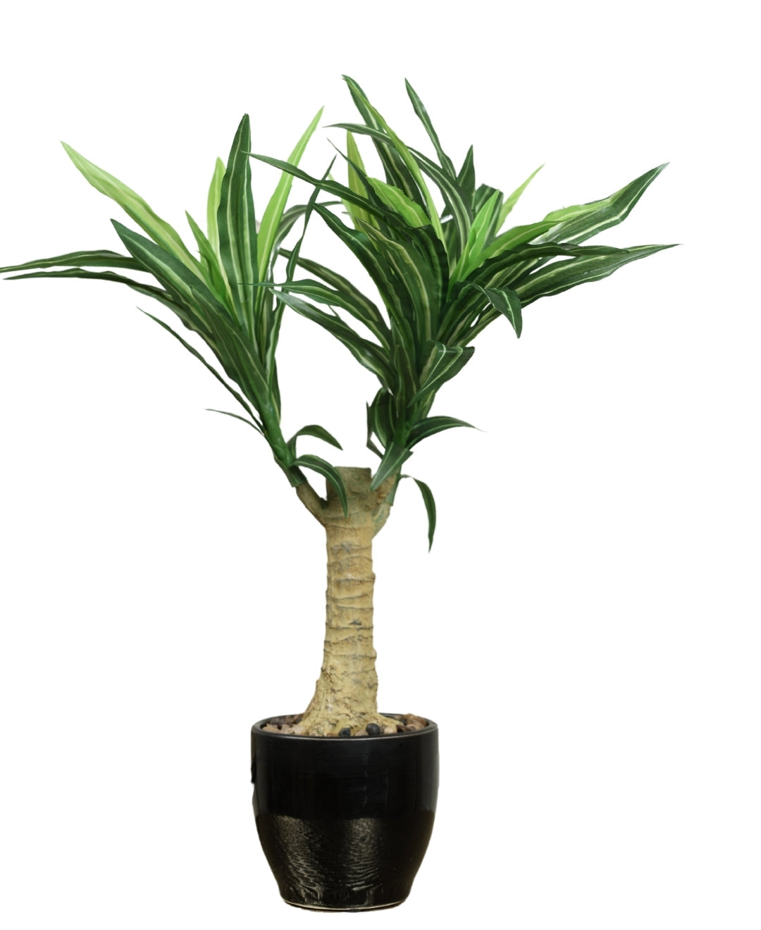 Graceful Croton Artificial Bonsai In Ceramic Pot