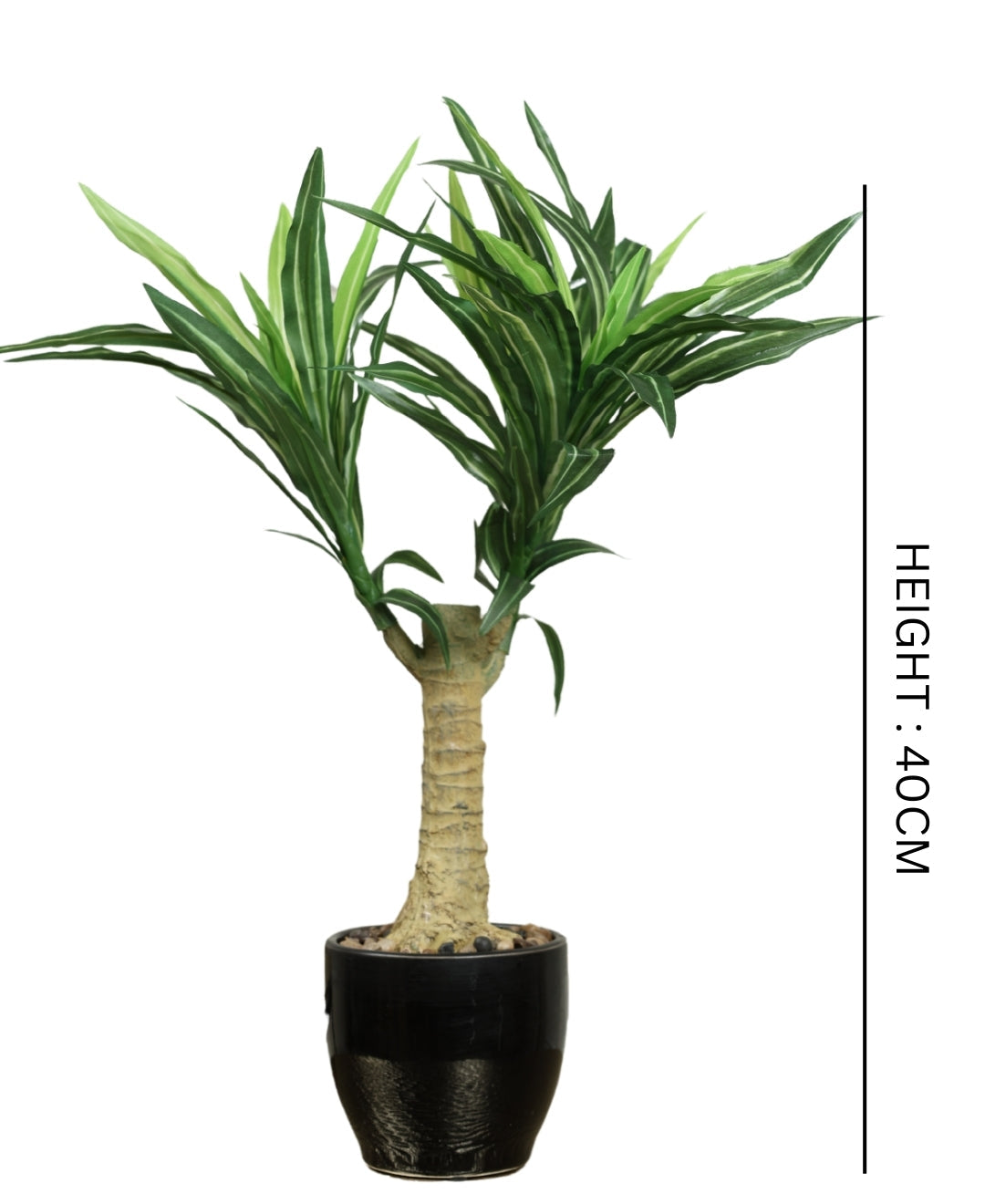 Graceful Croton Artificial Bonsai In Ceramic Pot