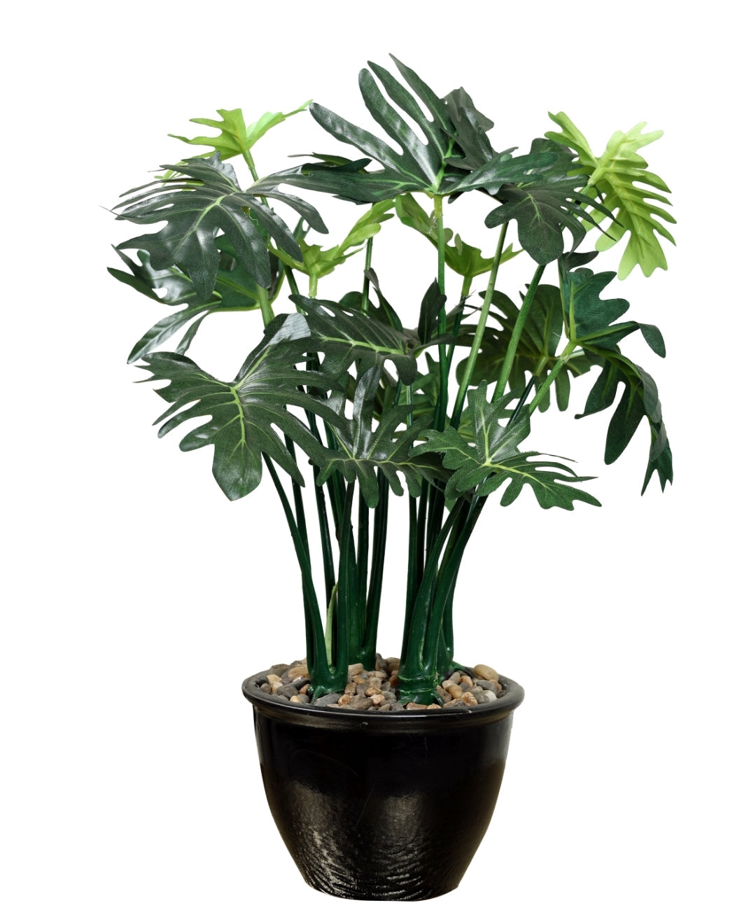 Beautifully Crafted Bonsai In A Black Ceramic Pot