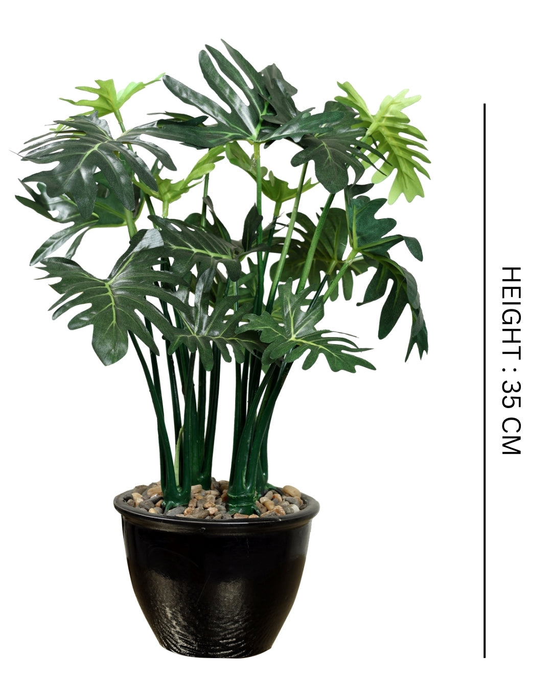 Beautifully Crafted Bonsai In A Black Ceramic Pot