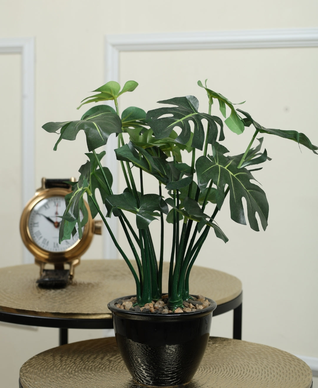 Beautifully Crafted Bonsai In A Black Ceramic Pot