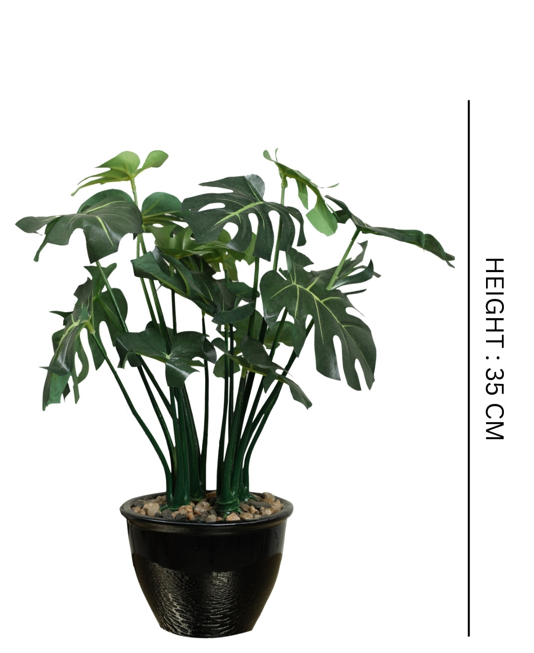 Beautifully Crafted Bonsai In A Black Ceramic Pot