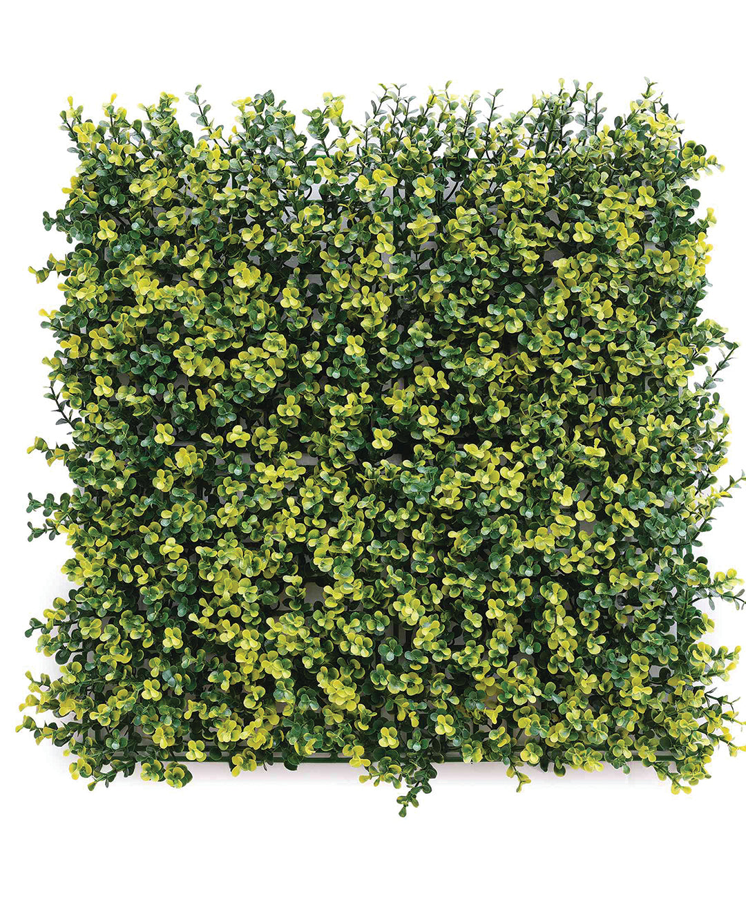 Lush Boxwood Vertical Garden Tile