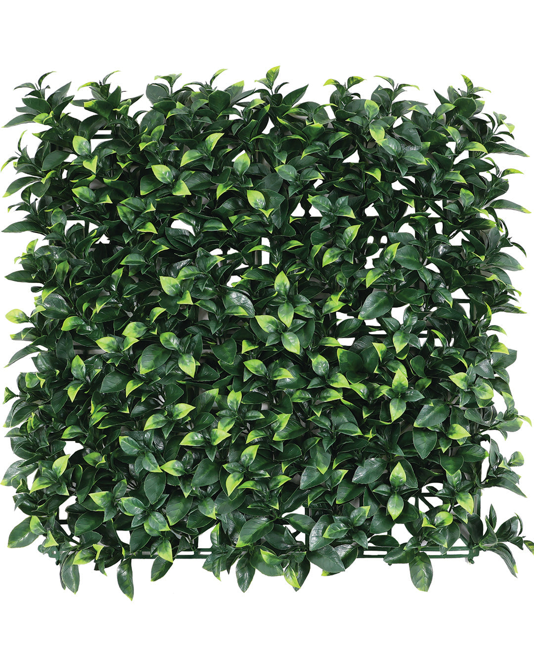 Evergreen Essence Wall Tile