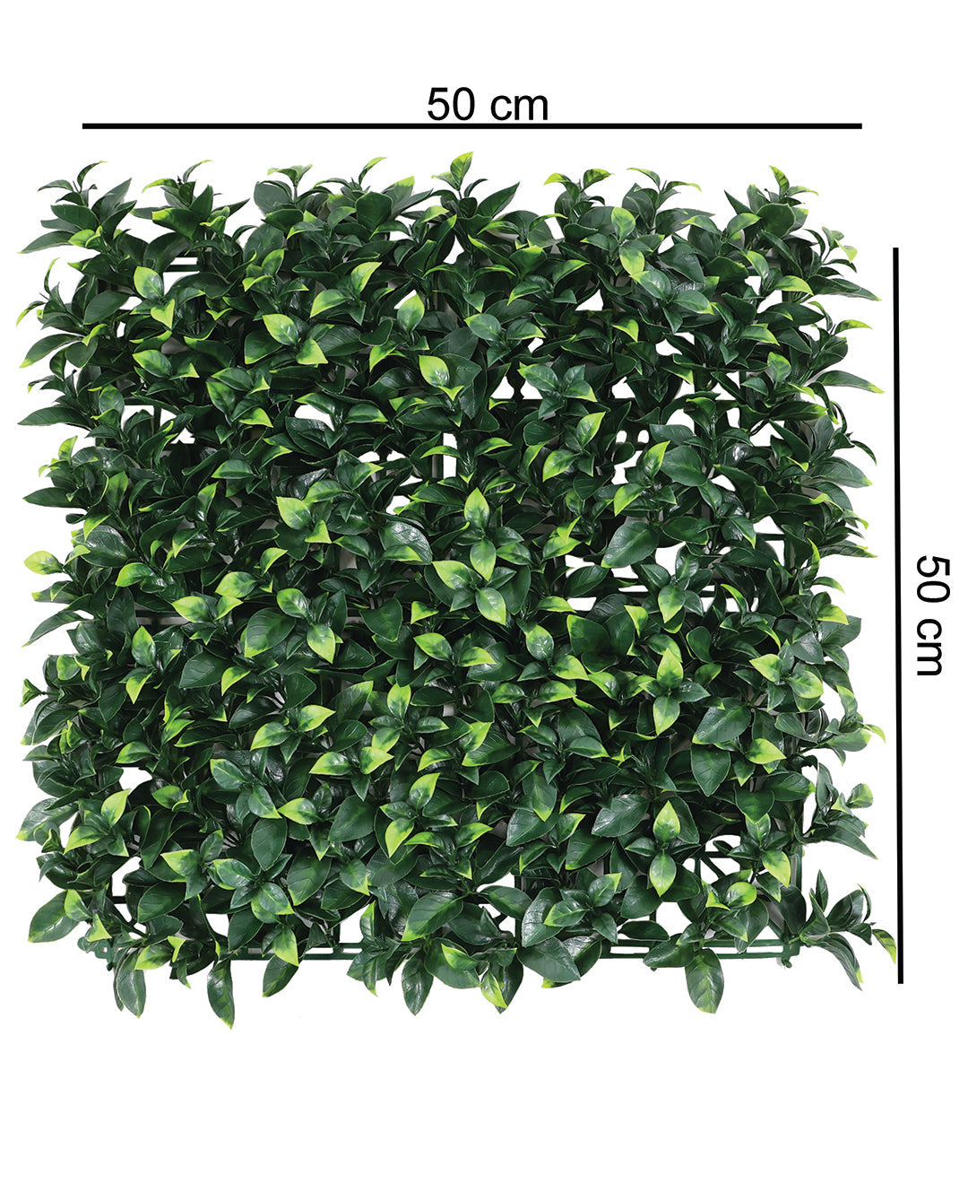 Evergreen Essence Wall Tile