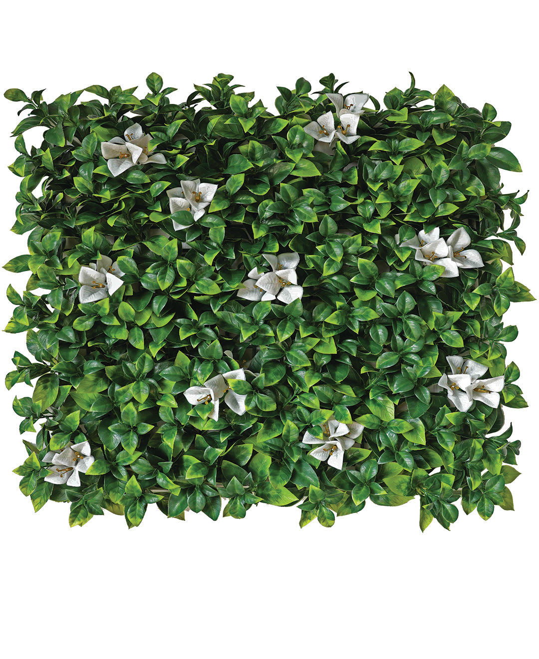 Botanique Grace Wall Tile - White Blossom