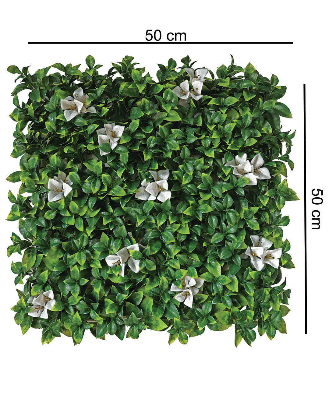Botanique Grace Wall Tile - White Blossom
