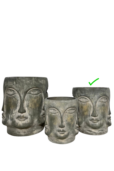 Modern Face Resin Planters - Grey