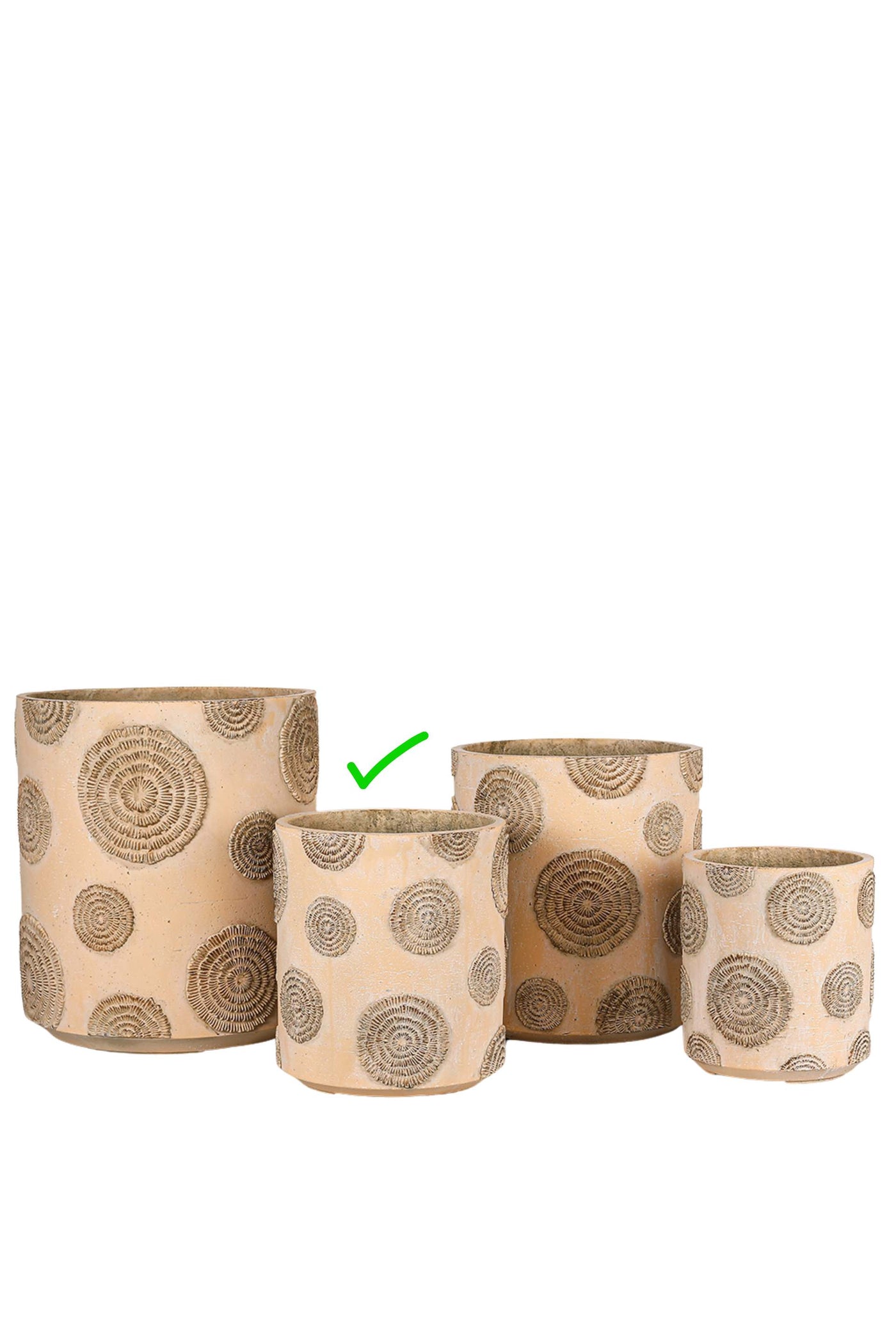 Beige Textured Resin Planter with Circular Patterns