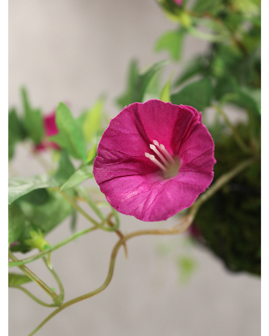 PolliNation Artificial Hanging Flower Purple Morning Glory Creeper with Hanging Metal Stand for Balcony Garden Decoration (Pack of 1, 40 cm)