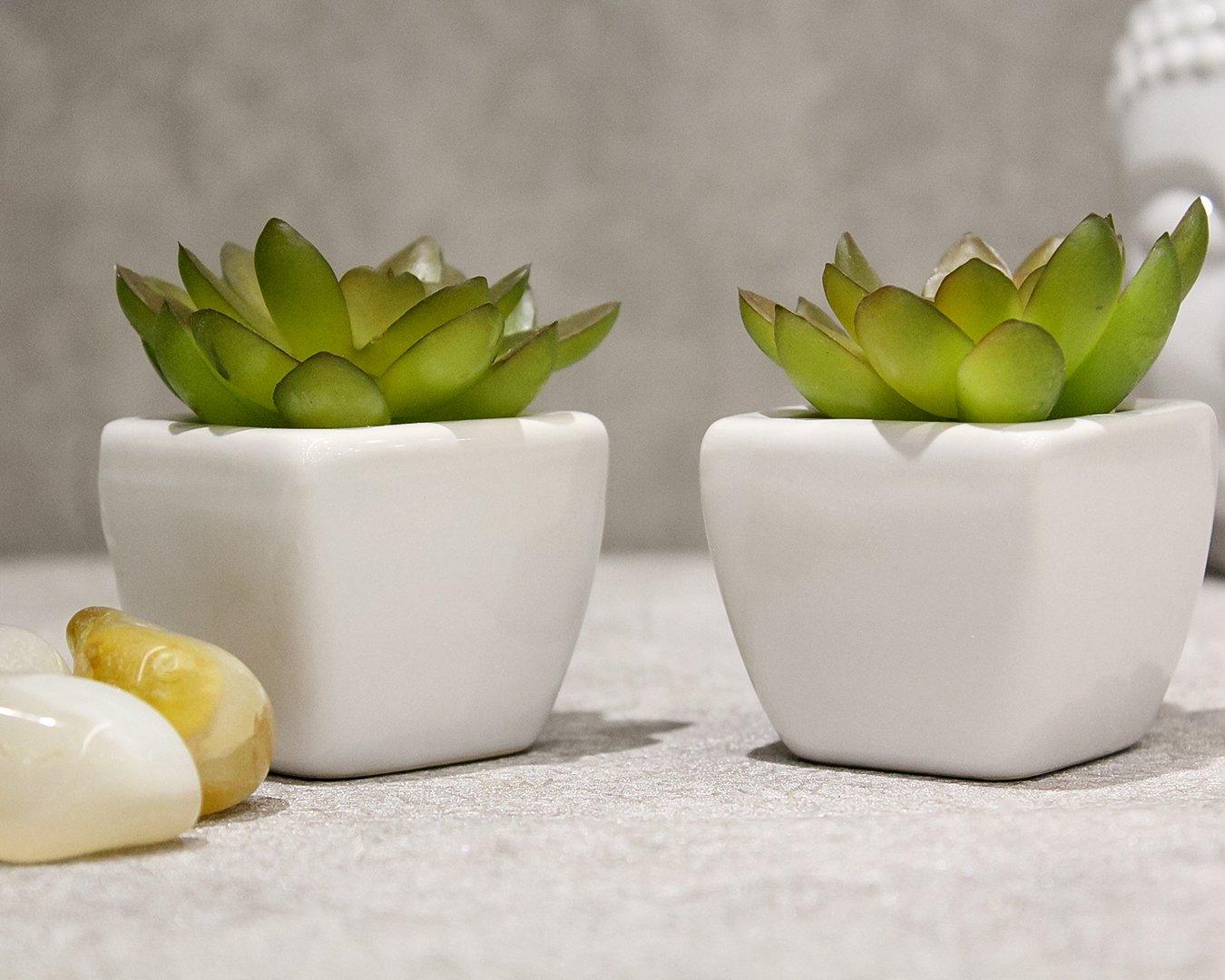 Artificial Green Succulent Bonsai with Ceramic Pot Pack of 2 (5 cm X 5 cm X 8 cm - Artificial Flowers & Plants - PolliNation