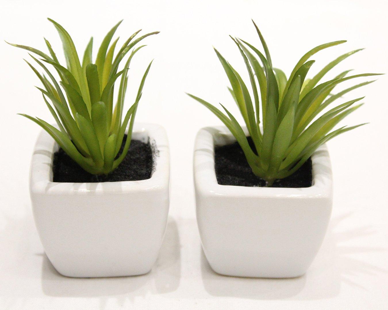 Artificial Green Succulent Bonsai with Ceramic Pot Pack of 2 (5 cm X 5 cm X 8 cm) - Artificial Flowers & Plants - PolliNation