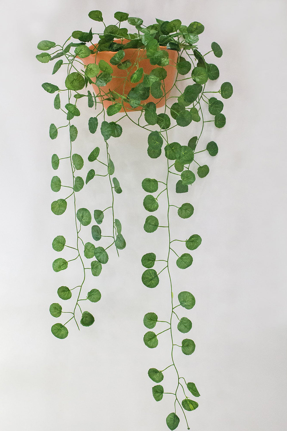Stunning Artificial Creeper Green Begonia Garland | Home Décor Large (Pack of 3 Strings, 6 feet)