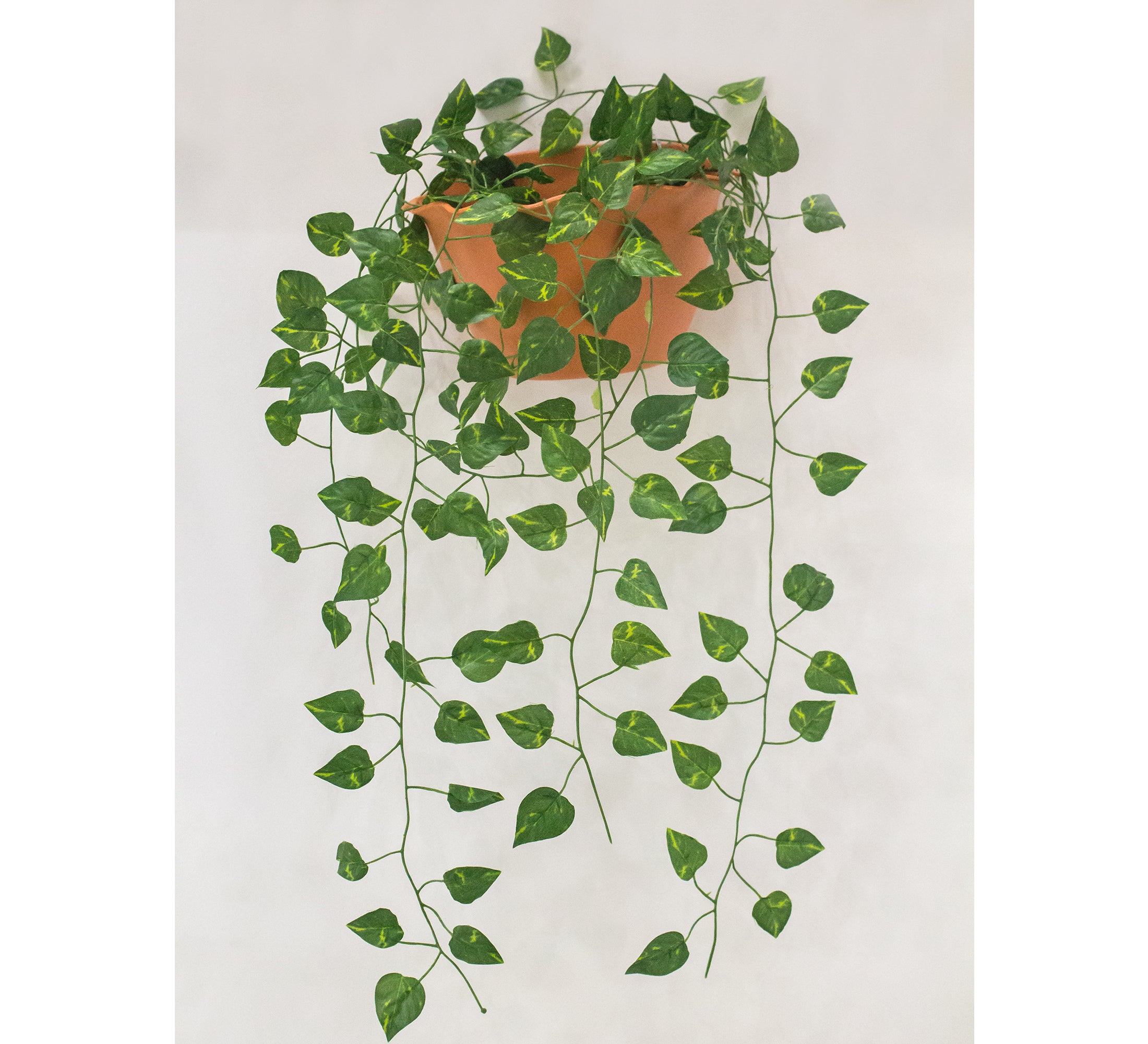 PolliNation Stunning Begonia Artificial Creeper for Home Decoration, Balcony (Pack of 3 Strings, 6 feet), Small Leaves