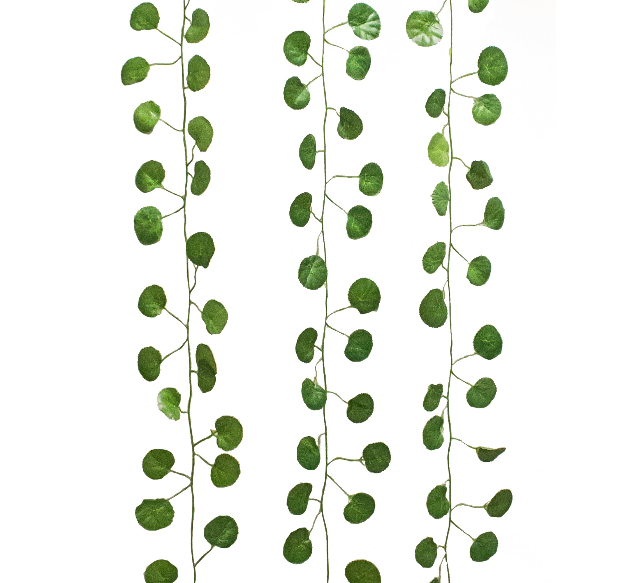 Stunning Artificial Creeper Green Begonia Garland | Home Décor Large (Pack of 3 Strings, 6 feet)