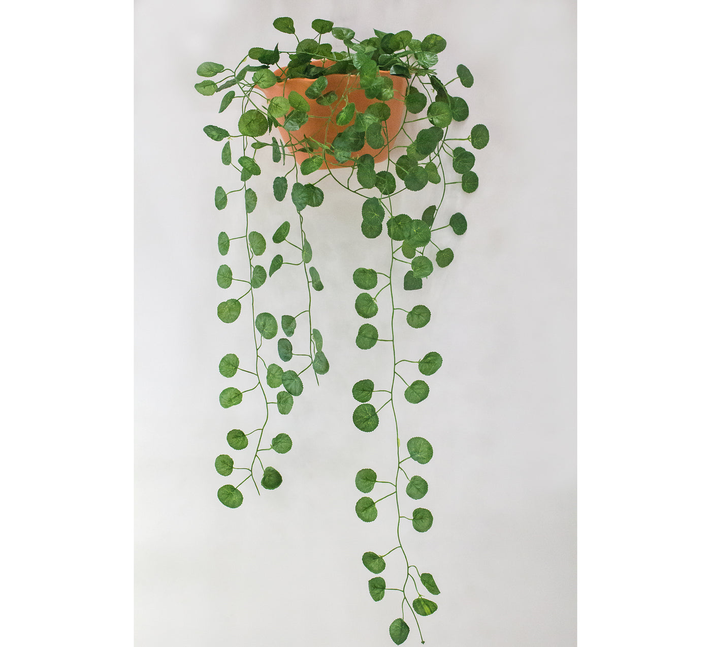 Stunning Artificial Creeper Green Begonia Garland | Home Décor Large (Pack of 3 Strings, 6 feet)