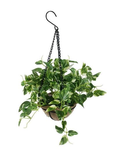 PolliNation Alluring Maple Artificial Creeper plant in Jute Basket with Hanging Metal Stand (Pack of 1) - Artificial Flowers & Plants - PolliNation