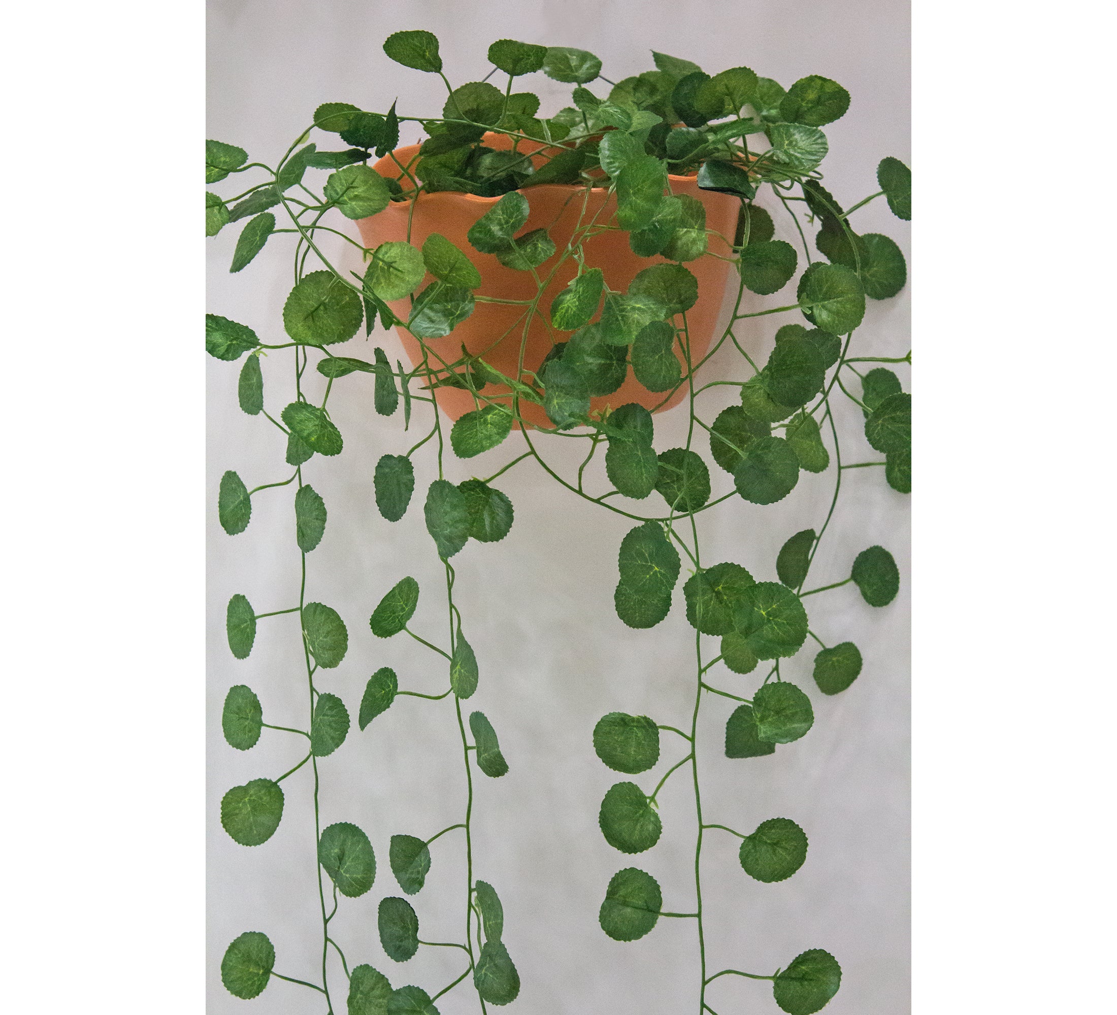 PolliNation Stunning Begonia Artificial Creeper for Home Decoration, Balcony (Pack of 3 Strings, 6 feet), Small Leaves