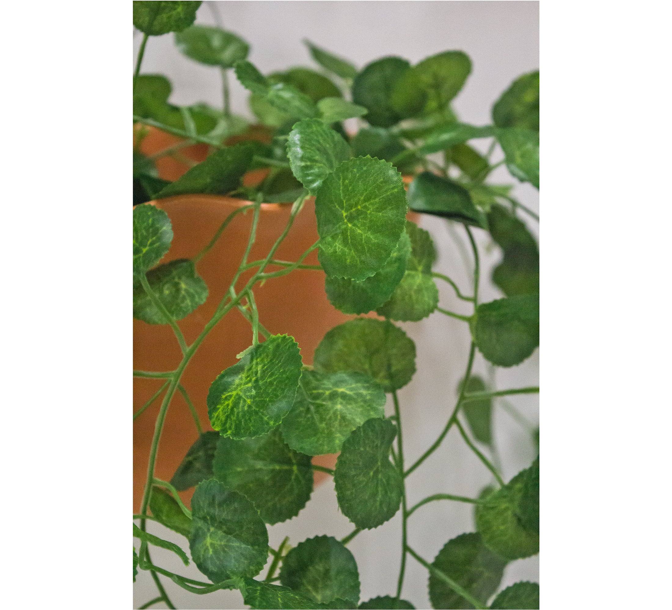 PolliNation Stunning Begonia Artificial Creeper for Home Decoration, Balcony (Pack of 3 Strings, 6 feet), Small Leaves