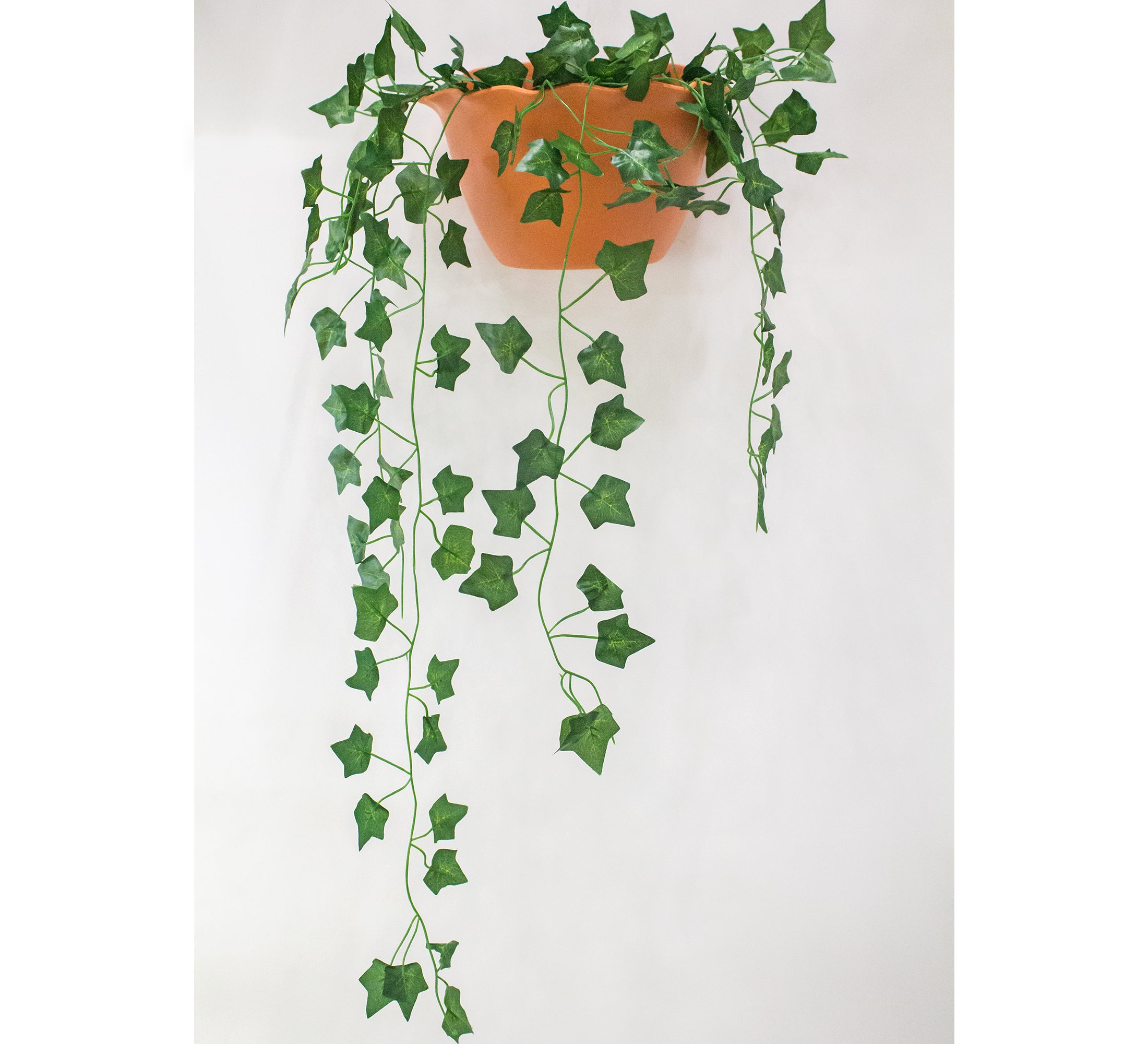 Stunning Artificial Creeper Green Begonia Garland | Home Décor Large (Pack of 3 Strings, 6 feet)