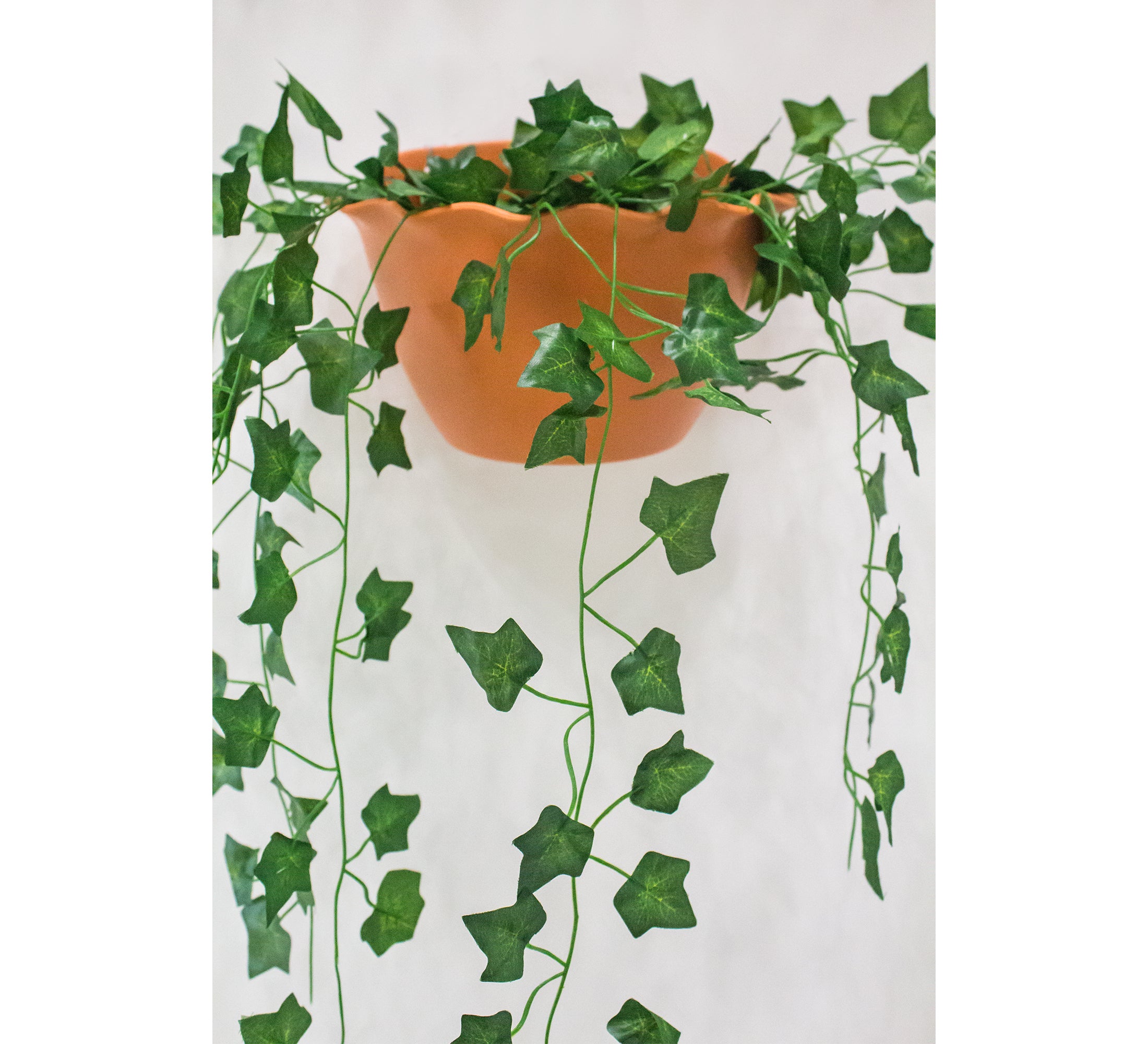 Stunning Artificial Creeper Green Begonia Garland | Home Décor Large (Pack of 3 Strings, 6 feet)