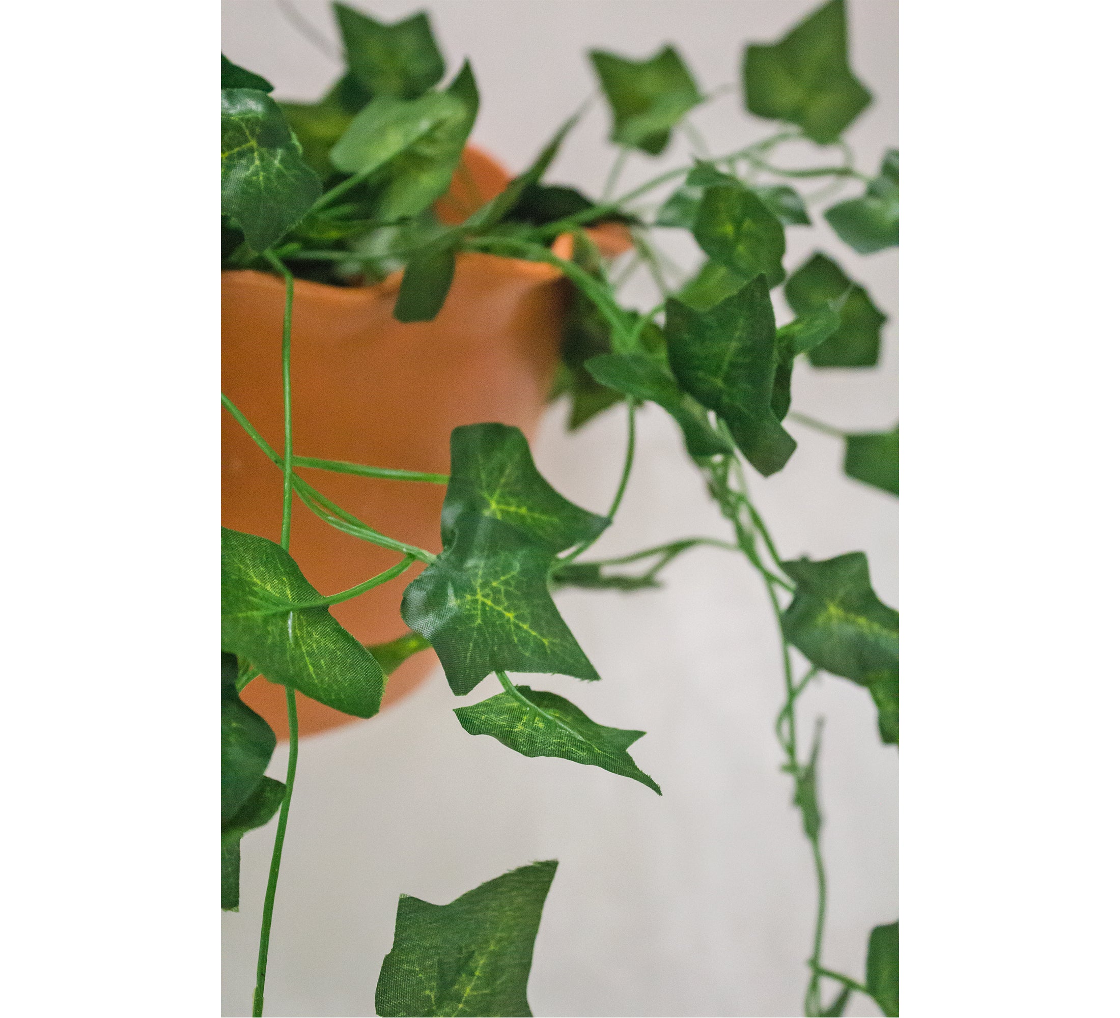 PolliNation Stunning Begonia Artificial Creeper for Home Decoration, Balcony (Pack of 3 Strings, 6 feet), Small Leaves