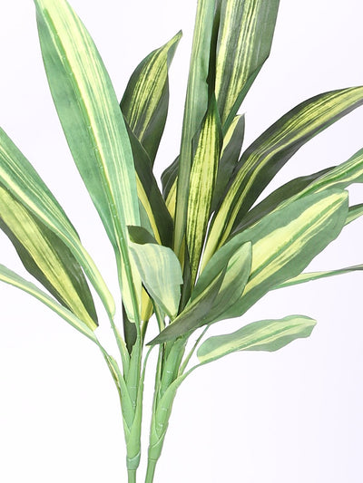 Pollination Real look  Stunning Green Dracaena Artificial Plant Without Pot (L 55 cm x H 60 cm) - Artificial Flowers & Plants - PolliNation