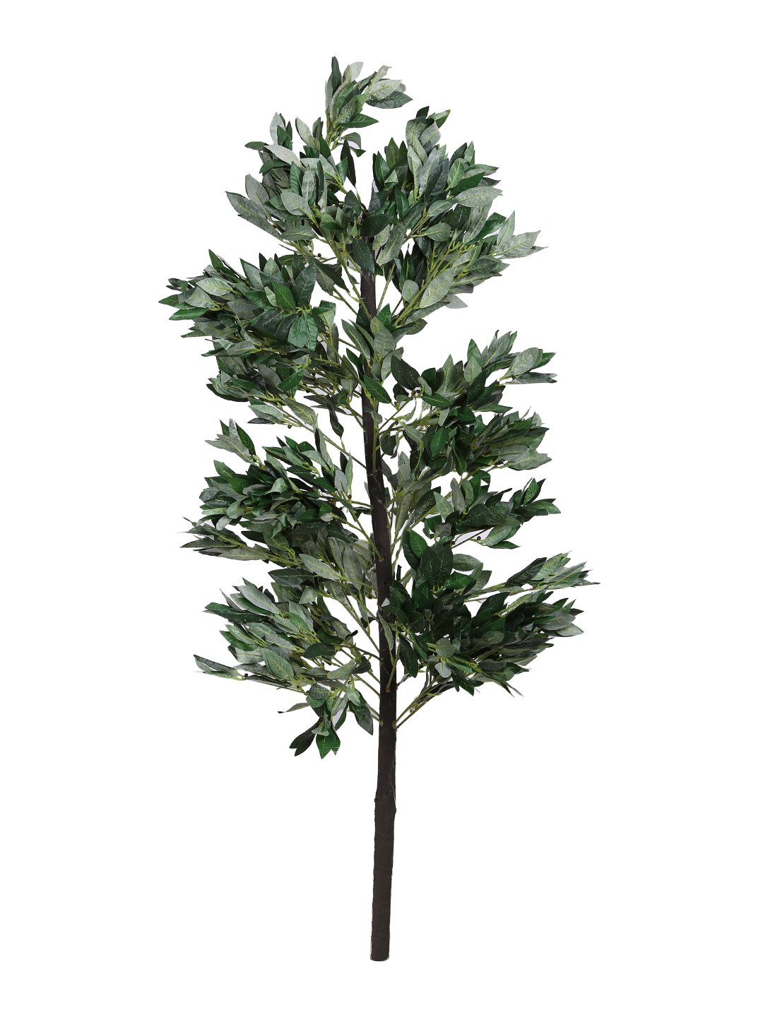 Artificial Green Plant Without Pot ( L 64 cm X H 153 cm ) - Artificial Flowers & Plants - PolliNation