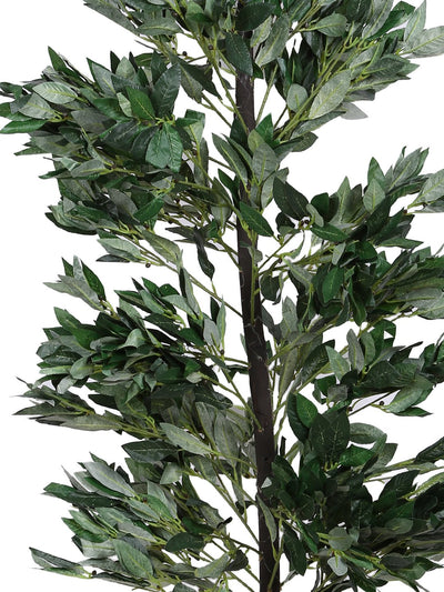 Artificial Green Plant Without Pot ( L 64 cm X H 153 cm ) - Artificial Flowers & Plants - PolliNation
