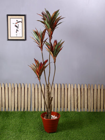 Pollination Decorative Artificial Dracaena Plant Without Pot (Pack of 1)