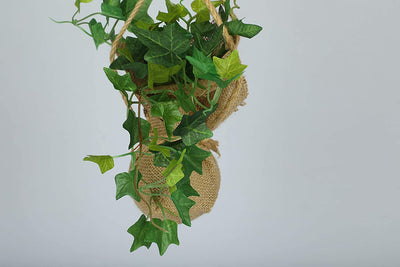 PolliNation Beautiful Artificial Hanging Ivy Creeper in a Jute Bag for Balcony (Pack of 1)