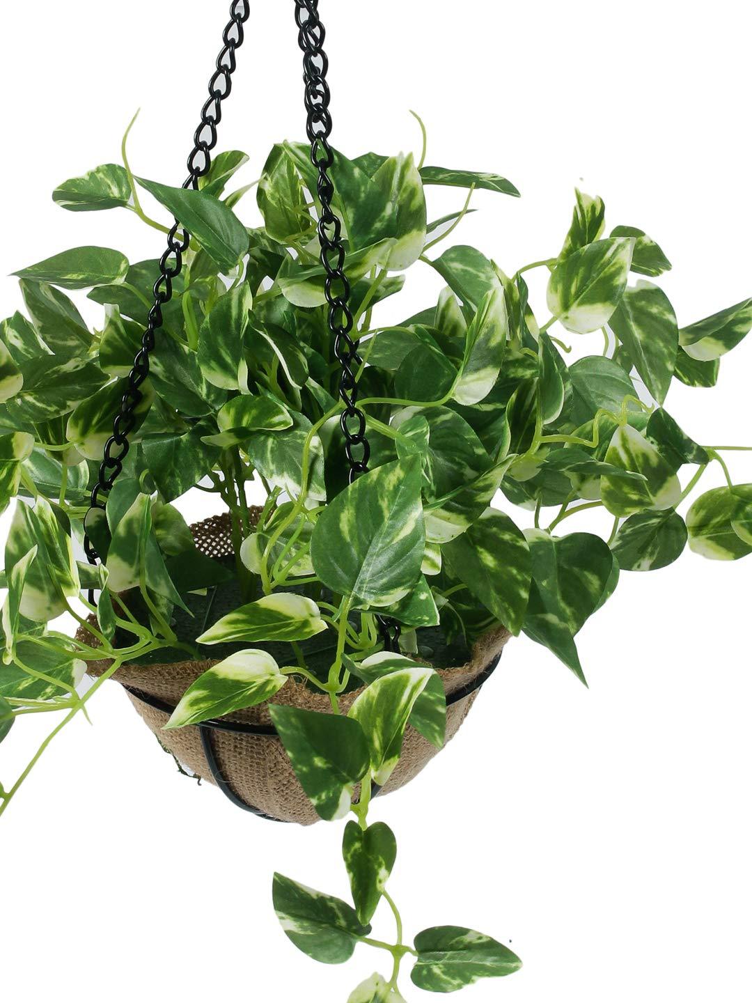 PolliNation Alluring Maple Artificial Creeper plant in Jute Basket with Hanging Metal Stand (Pack of 1) - Artificial Flowers & Plants - PolliNation