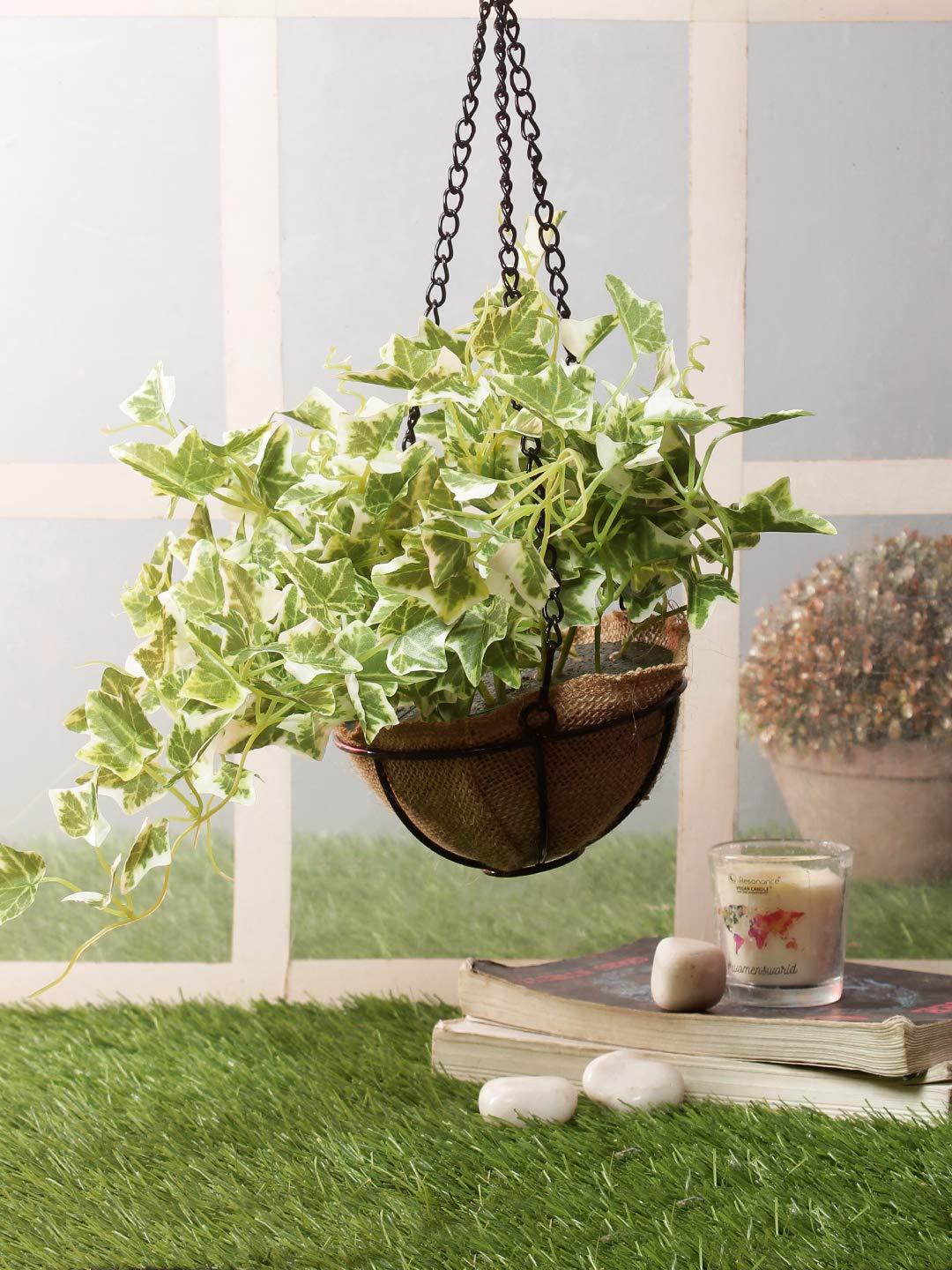 PolliNation Alluring Maple Artificial Creeper plant in Jute Basket with Hanging Metal Stand (Pack of 1) - Artificial Flowers & Plants - PolliNation