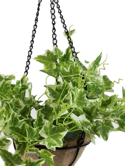 PolliNation Alluring Maple Artificial Creeper plant in Jute Basket with Hanging Metal Stand (Pack of 1) - Artificial Flowers & Plants - PolliNation