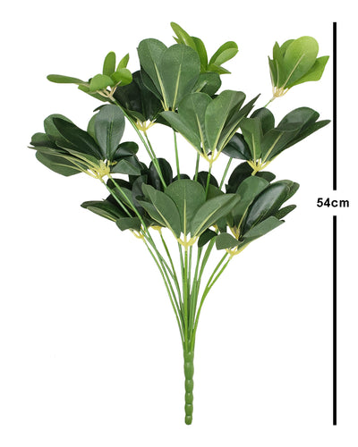 Pollination Schefflera Artificial Plant without Pot (Pack of 1, 54cm)