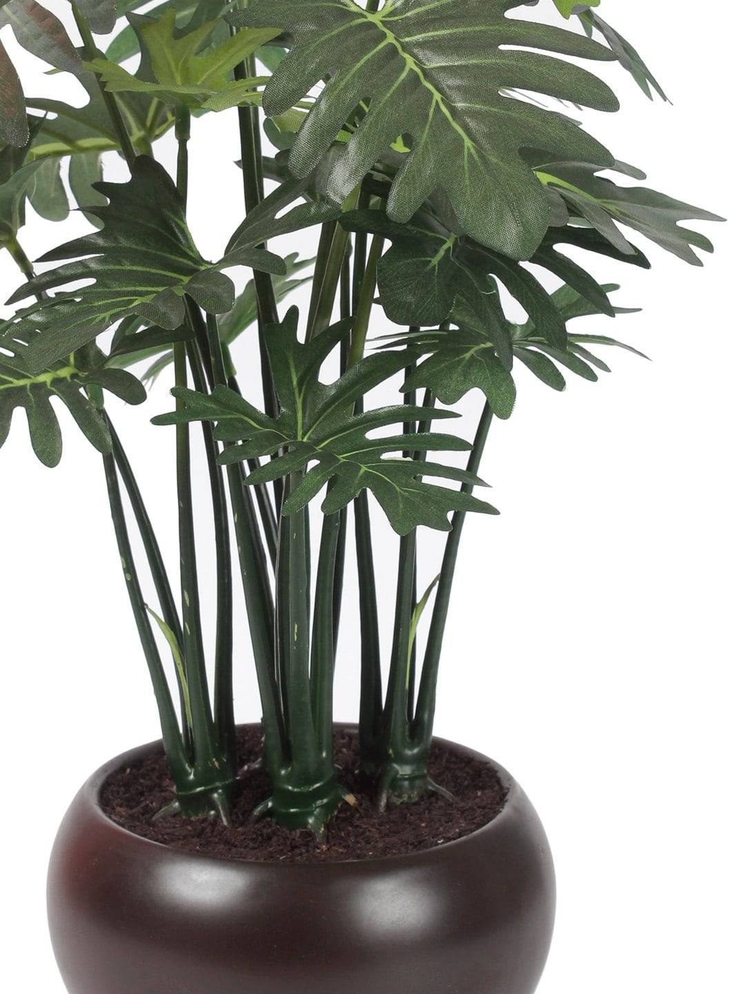 Artificial Happy Philo Bonsai With Ceramic Pot - Artificial Flowers & Plants - PolliNation