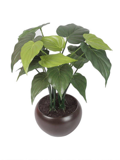 Artificial Happy Philo Bonsai With Ceramic Pot - Artificial Flowers & Plants - PolliNation
