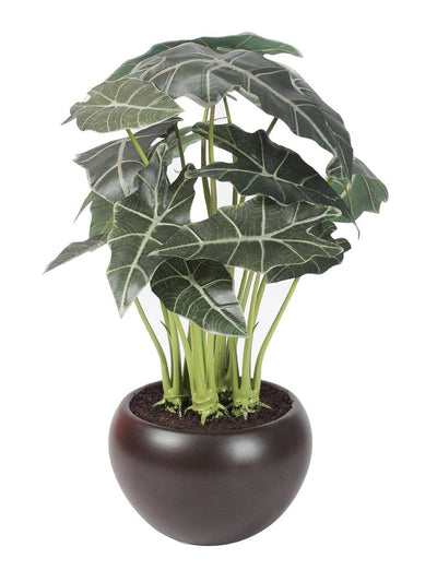 Artificial Happy Philo Bonsai With Ceramic Pot - Artificial Flowers & Plants - PolliNation