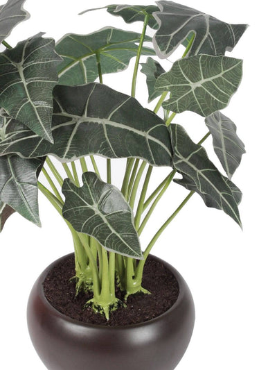 Artificial Happy Philo Bonsai With Ceramic Pot - Artificial Flowers & Plants - PolliNation